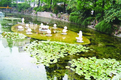 河道治理工程(黑臭水體)
